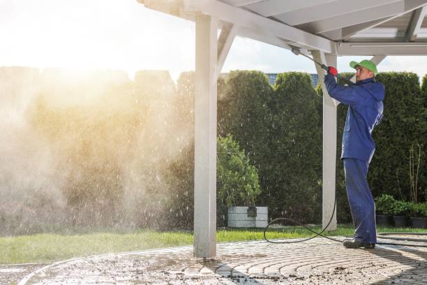 Best Graffiti Removal  in Monument Hills, CA